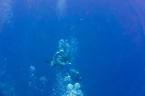 Tiro subaquático de um trainnig mergulhadores openwater — Fotografia de Stock