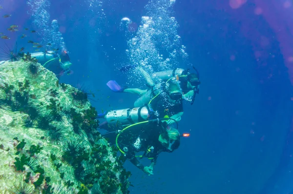 Подводная съемка дайверов под открытым небом — стоковое фото