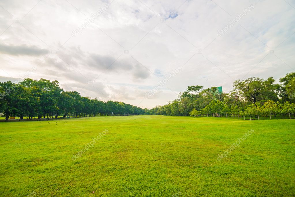 Green grass meadow field on public central park with tree cloud sky, Natural recreation concept