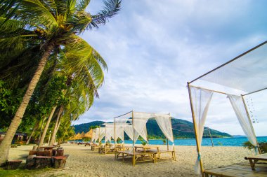 Beach coconut palm tre ile kuru bitki şemsiye arka sandalyeler