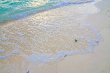 Okyanus dalgaları ve kum plaj arka plan