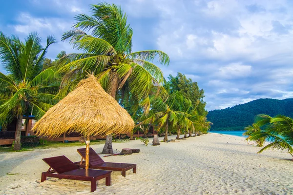 Sillas de playa planta seca paraguas fondo con coco palmera tre — Foto de Stock