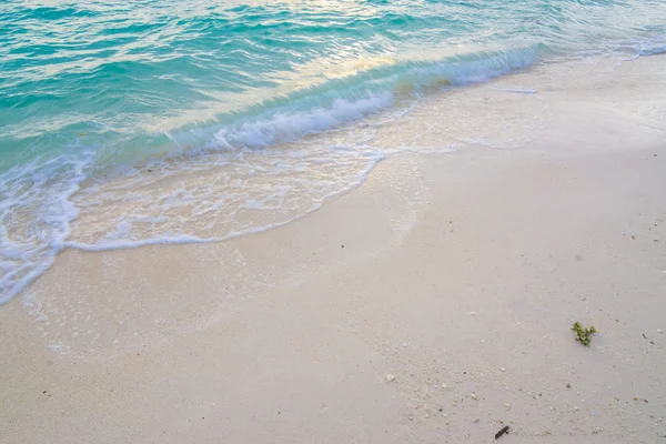 夏の海の波の自然なシーン — ストック写真