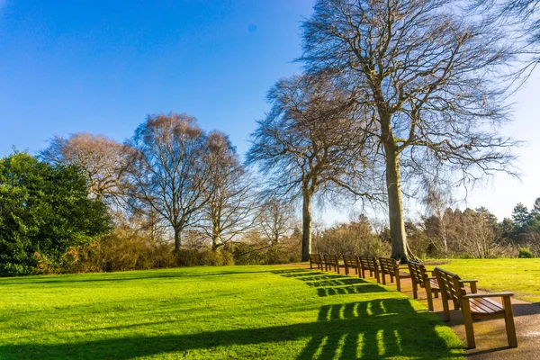 Public royal botanic spring garden green grass and tree — Stock Photo, Image