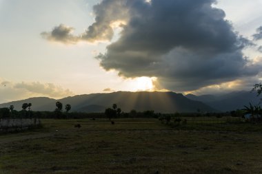 Günbatımı kırsal alanlara pirinç üzerinde
