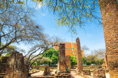 WAT Prasrisanphet, Ayuthaya geçmiş park mavi gökyüzü