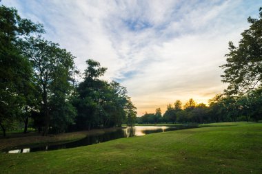 Günbatımı güzel yeşil çimenler gölet ile yaz Park'ta