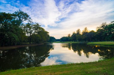 Günbatımı güzel yeşil çimenler gölet ile yaz Park'ta