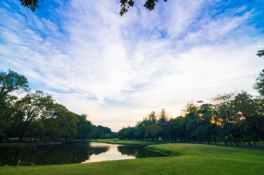Günbatımı güzel yeşil çimenler gölet ile yaz Park'ta