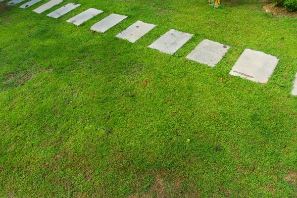 Открытый мраморный путь через зеленую лужайку — стоковое фото