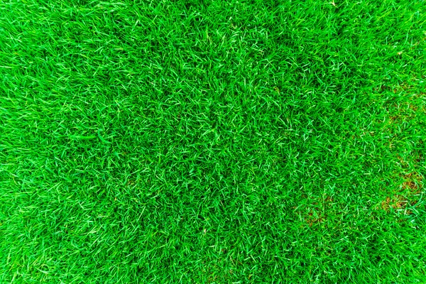 Varrás nélküli, a textúra, zöld természetes fű. — Stock Fotó