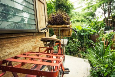 Retro vintage kırmızı bisiklet ile kuru çiçek sepeti