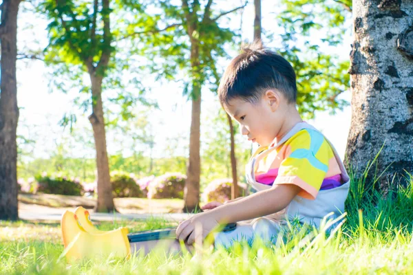 Маленький Азиатский Мальчик Сидит Зеленой Траве Деревом Использовать Планшетный Компьютер — стоковое фото