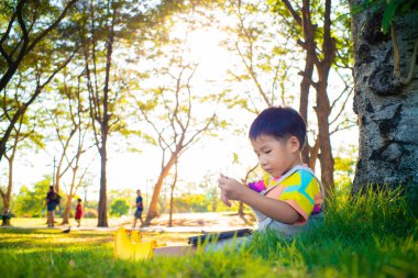 Küçük Asyalı çocuk ağaçların altında yeşil çimlerde oturuyor. Citty Park 'ın gün batımında tablet bilgisayar internet tarayıcısı kullanıyor.