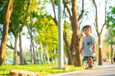 Asyalı çocuk yeşil çimlerde yürüyor. Şehir parkında gün batımını seyrediyor. 1-2 yaşında bir çocuk.