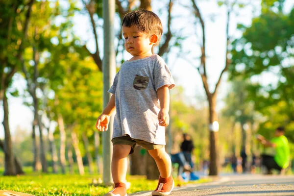 Asiatisk Pojke Promenader Grönt Gräs Avkopplande Solnedgång Ljus Stadsparken Småbarn — Stockfoto