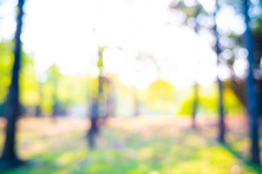 Soyut bulanık yeşil park günbatımı ışığı ve Bokeh rahatlama sahnesi