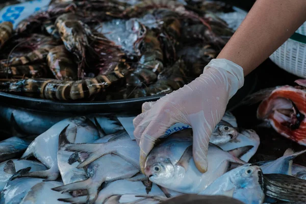 Feresh Tigre Camarão Vender Mercado Pesca Close Frutos Mar — Fotografia de Stock