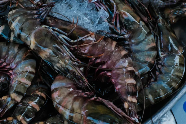 Frische Ungekochte Tigergarnelen Garnelen Verkaufen Auf Dem Markt Hautnah Meeresfrüchte — Stockfoto