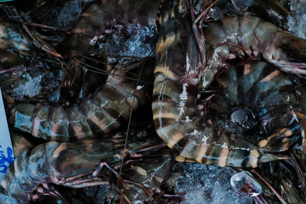 Frische Ungekochte Tigergarnelen Garnelen Verkaufen Auf Dem Markt Hautnah Meeresfrüchte — Stockfoto