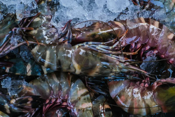 Feresh Tiger Garnelen Garnelen Verkaufen Fischmarkt Nahaufnahme Meeresfrüchte — Stockfoto