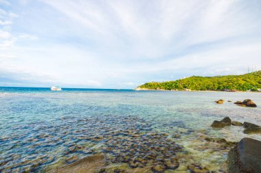 Taş sahili sakinliği Andaman denizi Koh Tao Tayland