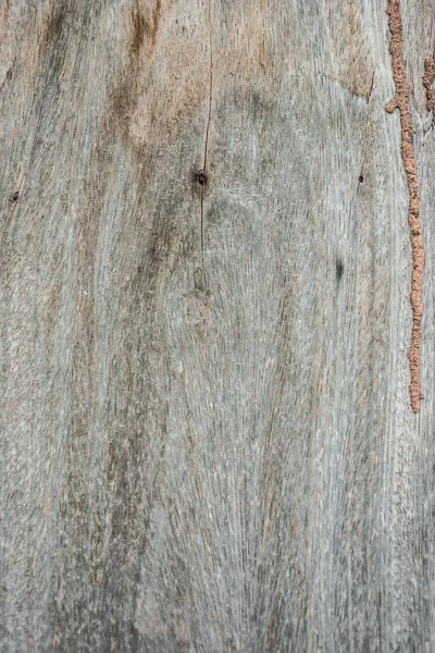 Абстрактная Концепция Оформления Текстуры Дерева Винтажная Древесина — стоковое фото