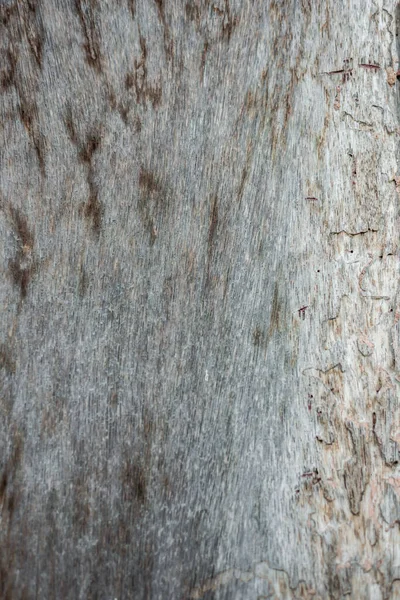 Абстрактная Концепция Оформления Текстуры Дерева Винтажная Древесина — стоковое фото