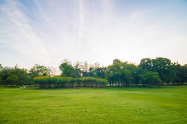 Şehir parkında gün batımı mavi gökyüzü bulutlu yeşil çimen tarlası