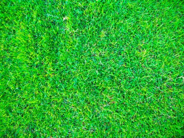 Yeşil doğa çimen desen dekorasyonu arka plan, yeşil bitki