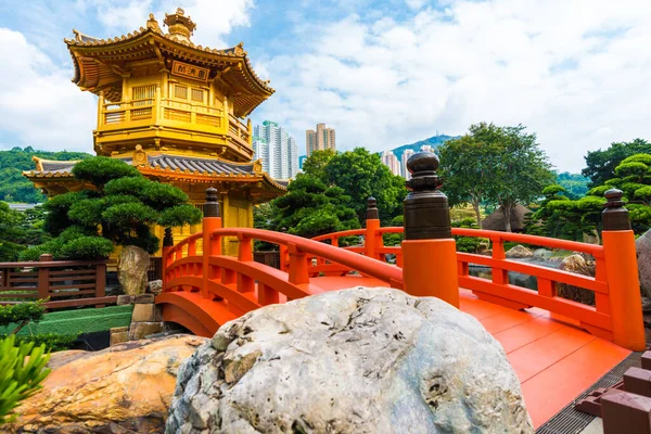 Nan Lian Green Garden Daki Hong Kong Parkı Nda Altın — Stok fotoğraf