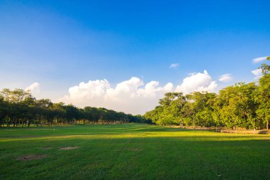 Yeşil halka açık park günbatımı. Ağaçlar ve çayırlarla aydınlık gökyüzü.