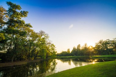 Yeşil ağaç parkı, günbatımı, mavi gökyüzü, doğa manzarasını bulutlandıran çayır.