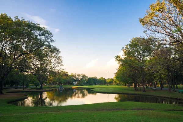 Solnedgång Offentlig Grön Park Med Damm Naturlig Bakgrund — Stockfoto