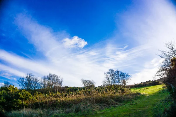 Blackford Hill View Point Green Meadow Grass Blue Sky Cloud — стоковое фото