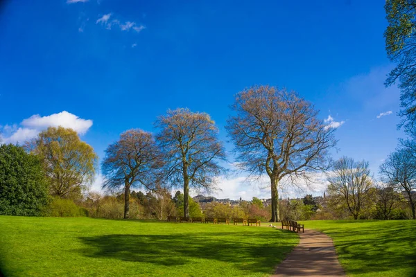 Bel Automne Coloré Dans Parc Avec Des Arbres Colorés Ciel — Photo