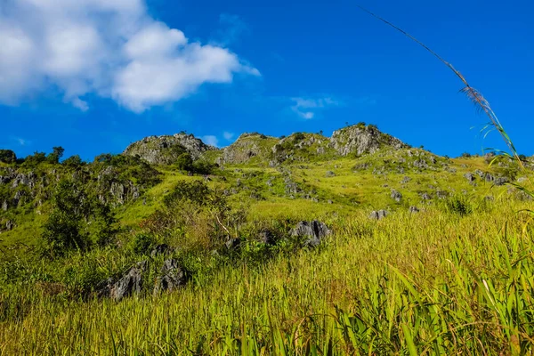 Tayland 'ın kuzeyinde Dağ Tepesi Yeşil Çayır Yarı Alp Ormanı