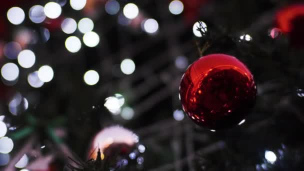 装饰圣诞树的装饰品挂在松木上 上有模糊的浮雕 图库视频