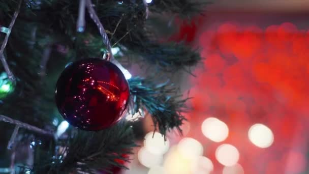 装饰圣诞树的装饰品挂在松木上 上有模糊的浮雕 — 图库视频影像