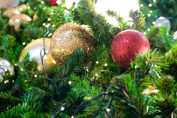 크리스마스 소나무에 Xmas Fcersal — 스톡 사진