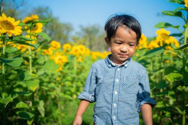 Yaz ayçiçeği tarlasında küçük sevimli Asyalı çocuğun portresi, çocukların mutluluk konsepti.