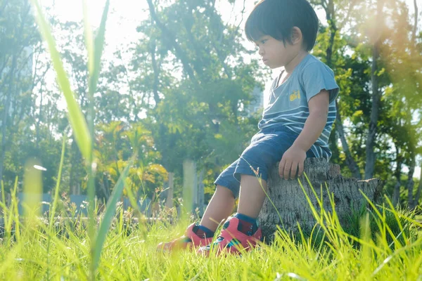 Doğada Parktaki Yeşil Çimlerde Yürüyen Sevimli Asyalı Çocuk — Stok fotoğraf