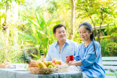 Bahçe parkında yemek ve içecek pikniği olan yaşlı çift birlikte bakım hakkında konuşuyorlar, Asyalı emekli çift.