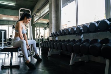 Spor salonundaki spor salonundaki halterleri kaldıran seksi spor kadınları.