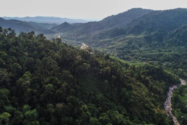 Derin şelale nehri dağı yeşil orman hava manzarası doğa manzarası