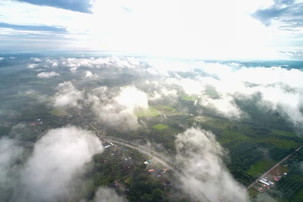 Hava manzaralı yeşil ağaç dağı ormanı sisli sabah manzaralı doğa