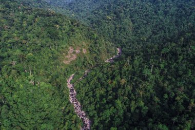 Derin şelale nehri dağı yeşil orman hava manzarası doğa manzarası