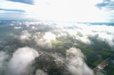Hava manzaralı yeşil ağaç dağı ormanı sisli sabah manzaralı doğa