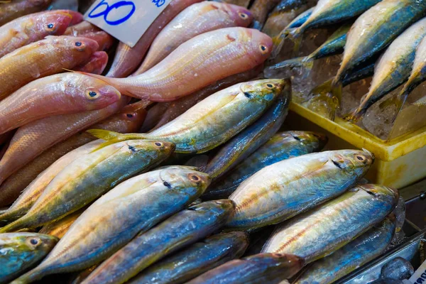 Viele Arten Bunte Meeresfrüchte Fisch Verkaufen Der Fischerei Lokalen Markt — Stockfoto