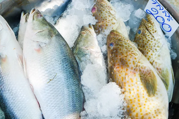 Fresh Seabass Grouper Fish Sell Ice Seafood Market — Stock Photo, Image